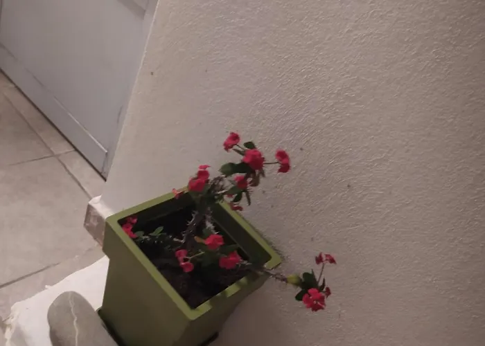Aiolos Traditional House In Apartment