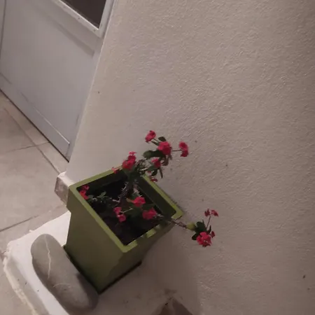 Aiolos Traditional House In Апартаменты